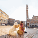 Die Orte sind ein Schlüssel zum generalisieren.