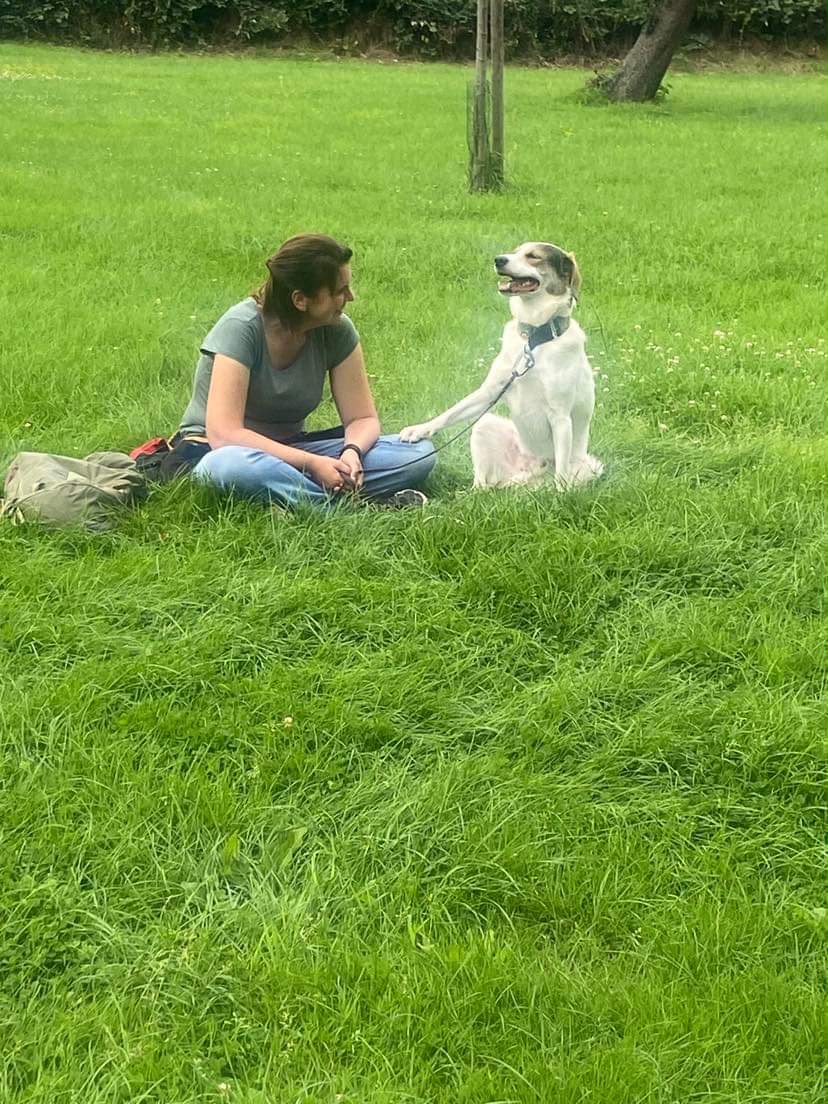 Hundetrainerin Martina sitzt entspannt mit einem Hund auf der Wiese, der Hund legt ihr die Pfote aufs Bein